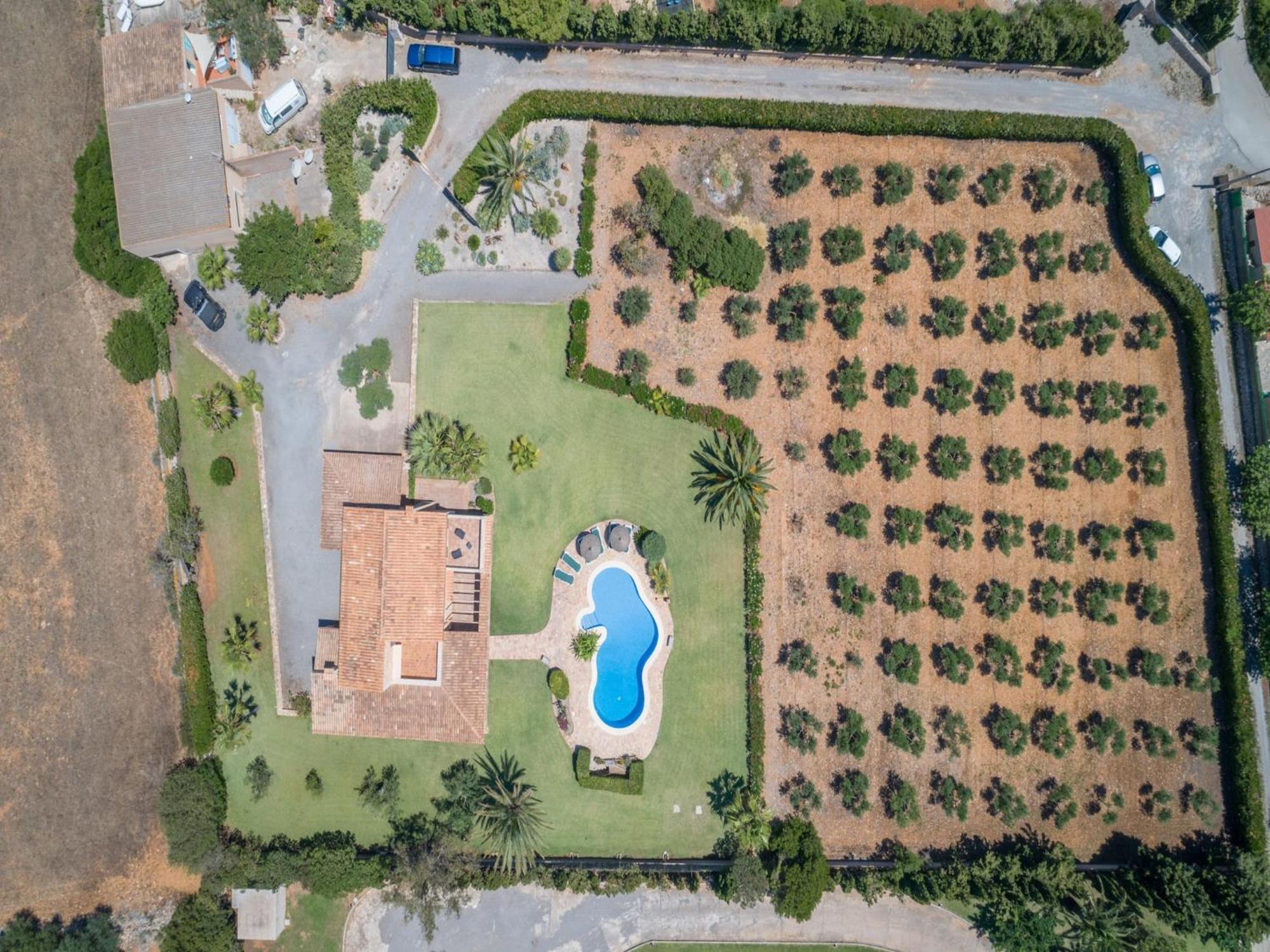 S'hort D'or, 5starshome Mallorca * Felanitx